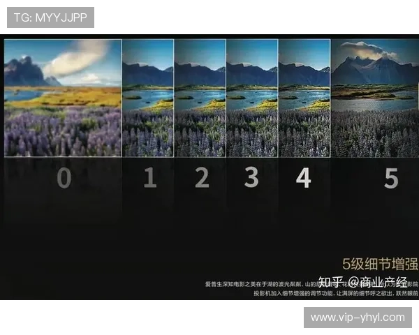 壹号娱乐注册入口：注册流程详解让新手也能轻松上手