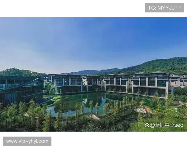 壹号app网址最新官方入口全面解析帮助玩家快速登录体验